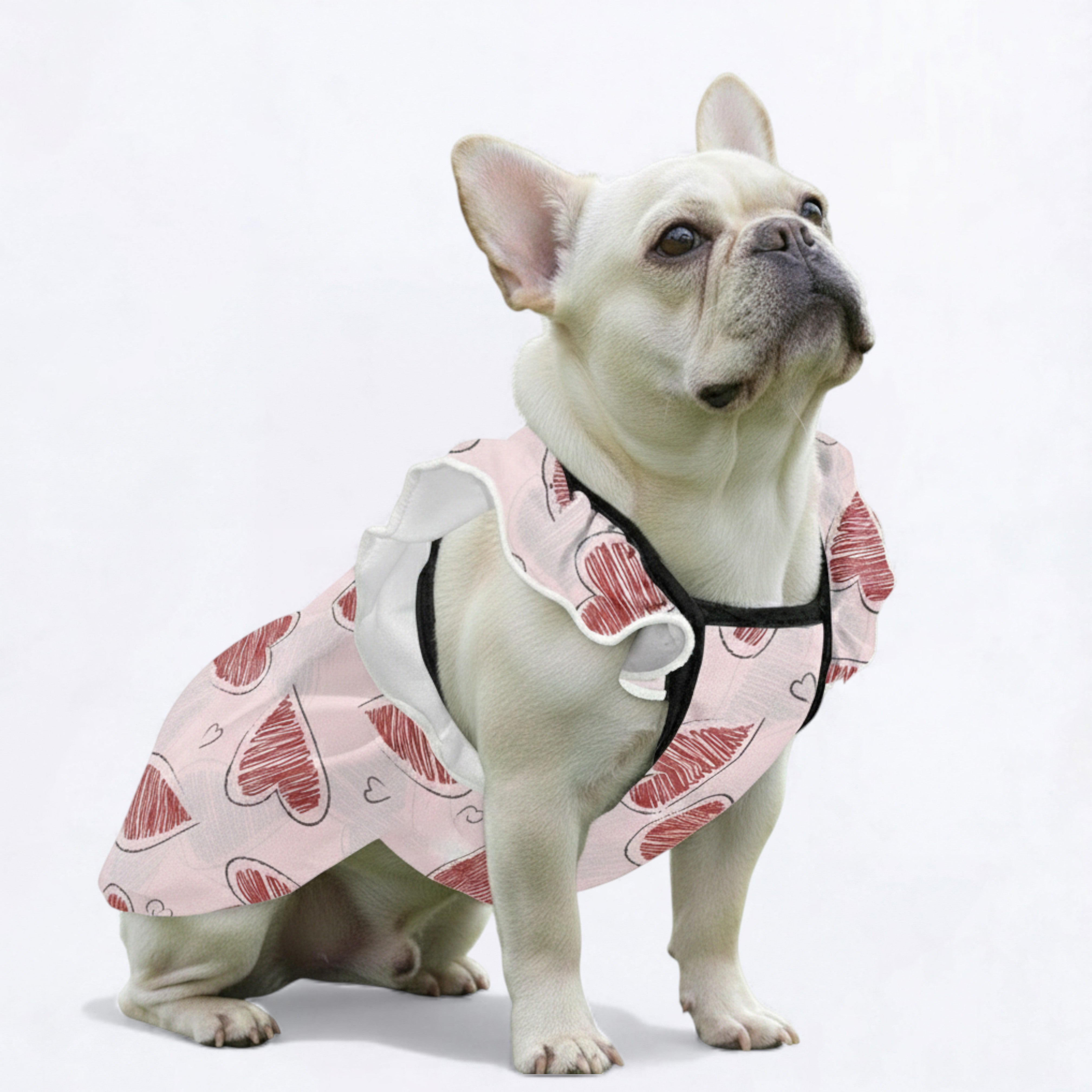 French Bulldog Lola French Bulldog Dresses For Females Durable Dog Item