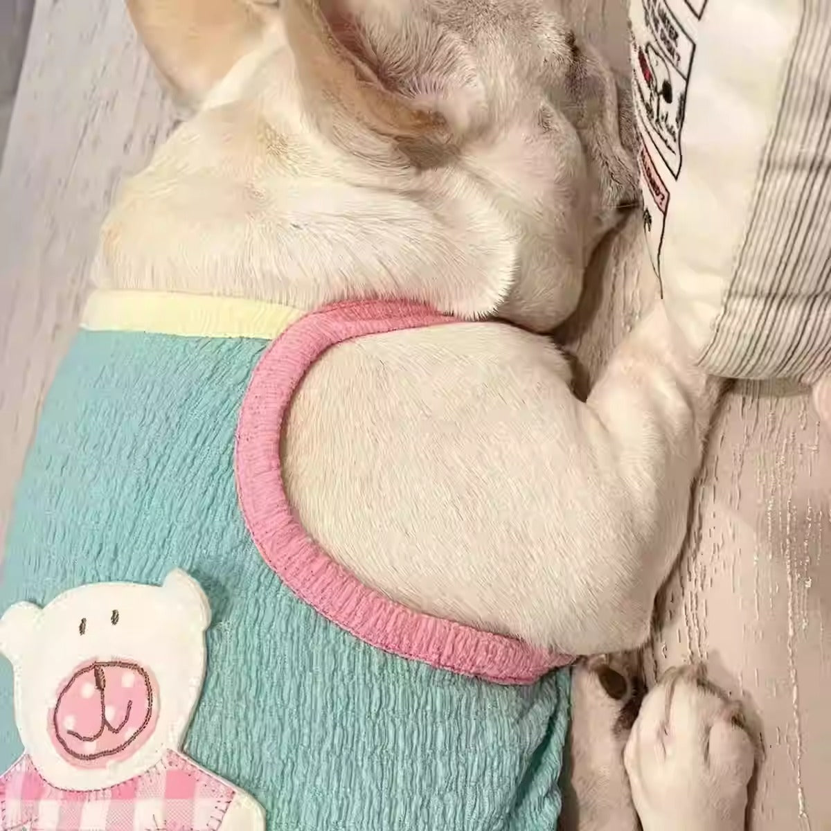 French Bulldog Vest – Soft Two-color Summer Outfit Winter Wear