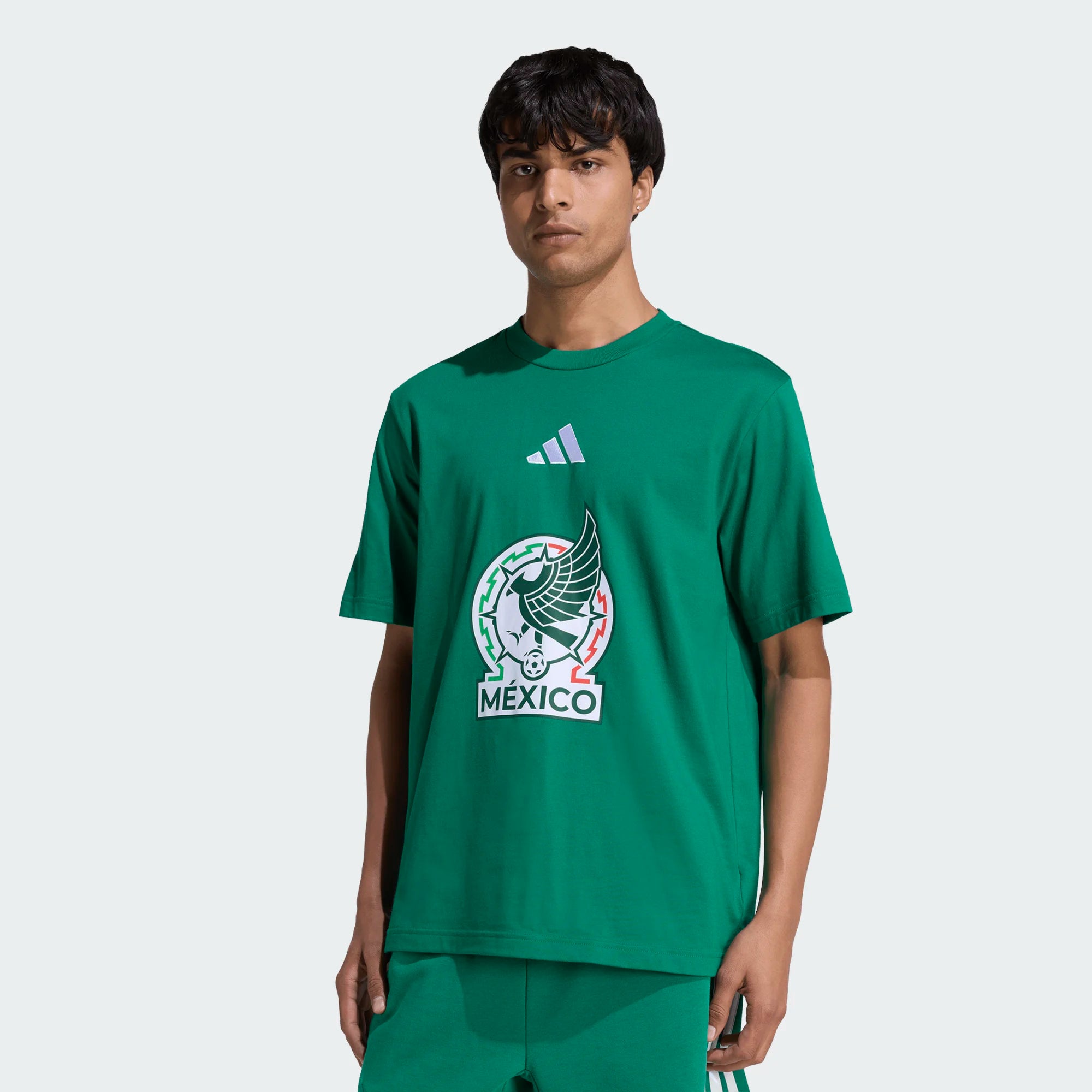 Mexico National Team 2024-2025 FIFA World Cup Third Shirt –  Edition S