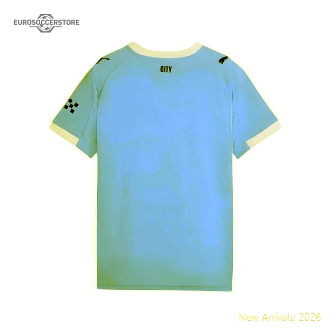 2025-2026 Premier League Team Home First-class Jersey Puma Drycell