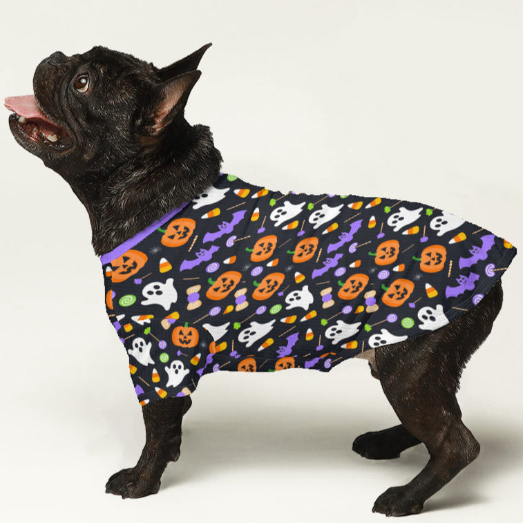 Zuma - Casual Wool Sweater For Frenchies Pet Owner Apparel