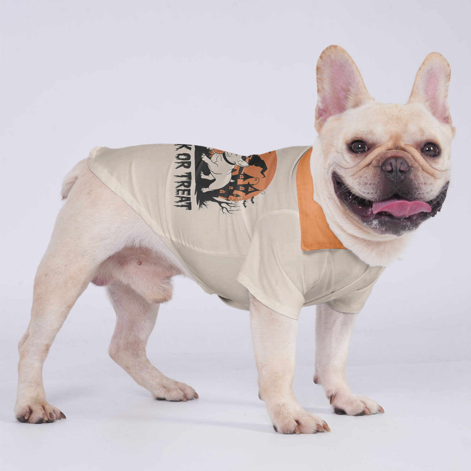French Bulldog Lucy Hawaiian Shirt For Frenchies Essential Dog Supply