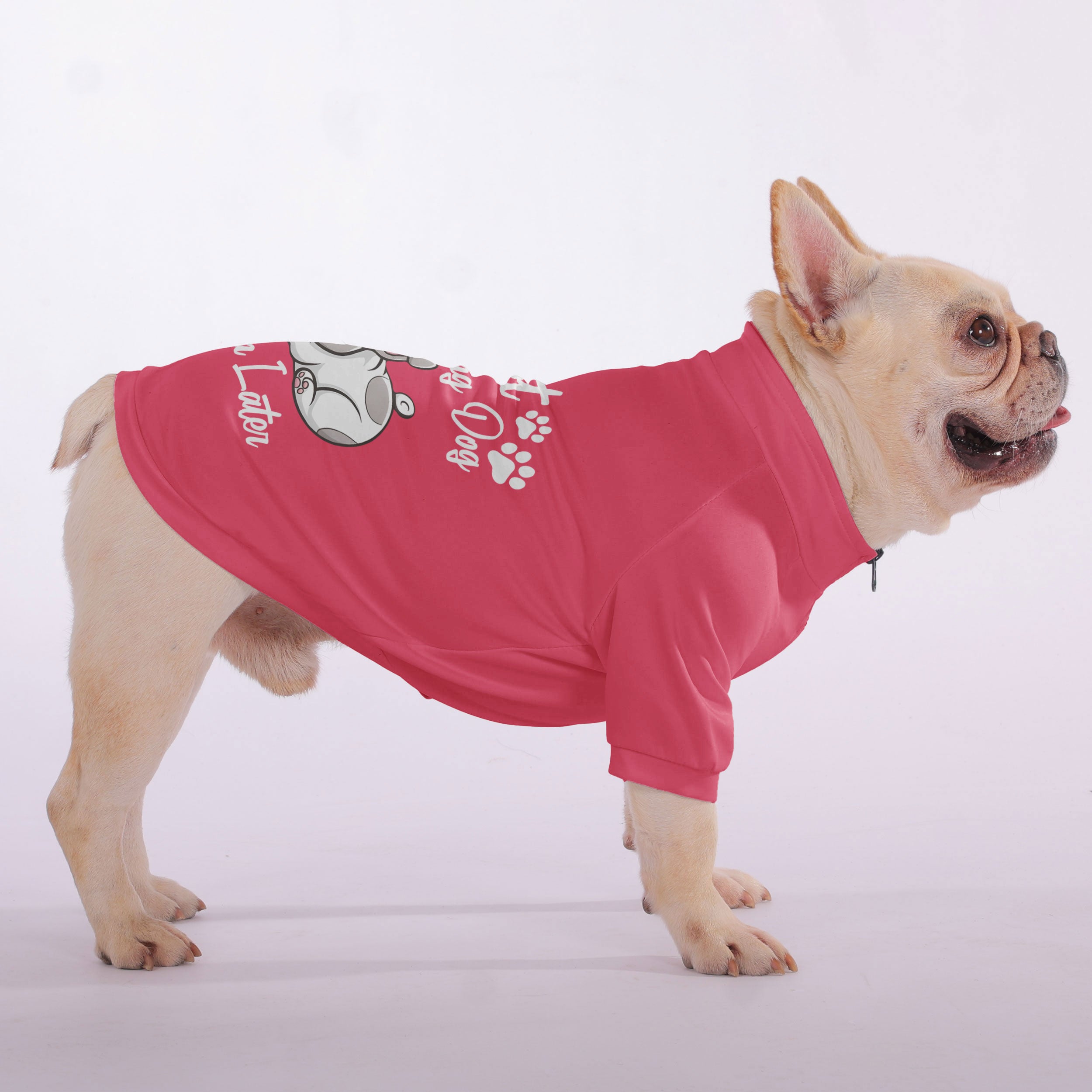 French Bulldog I’m Not A Morning Dog, Try Again Later Snuggly Zip Up