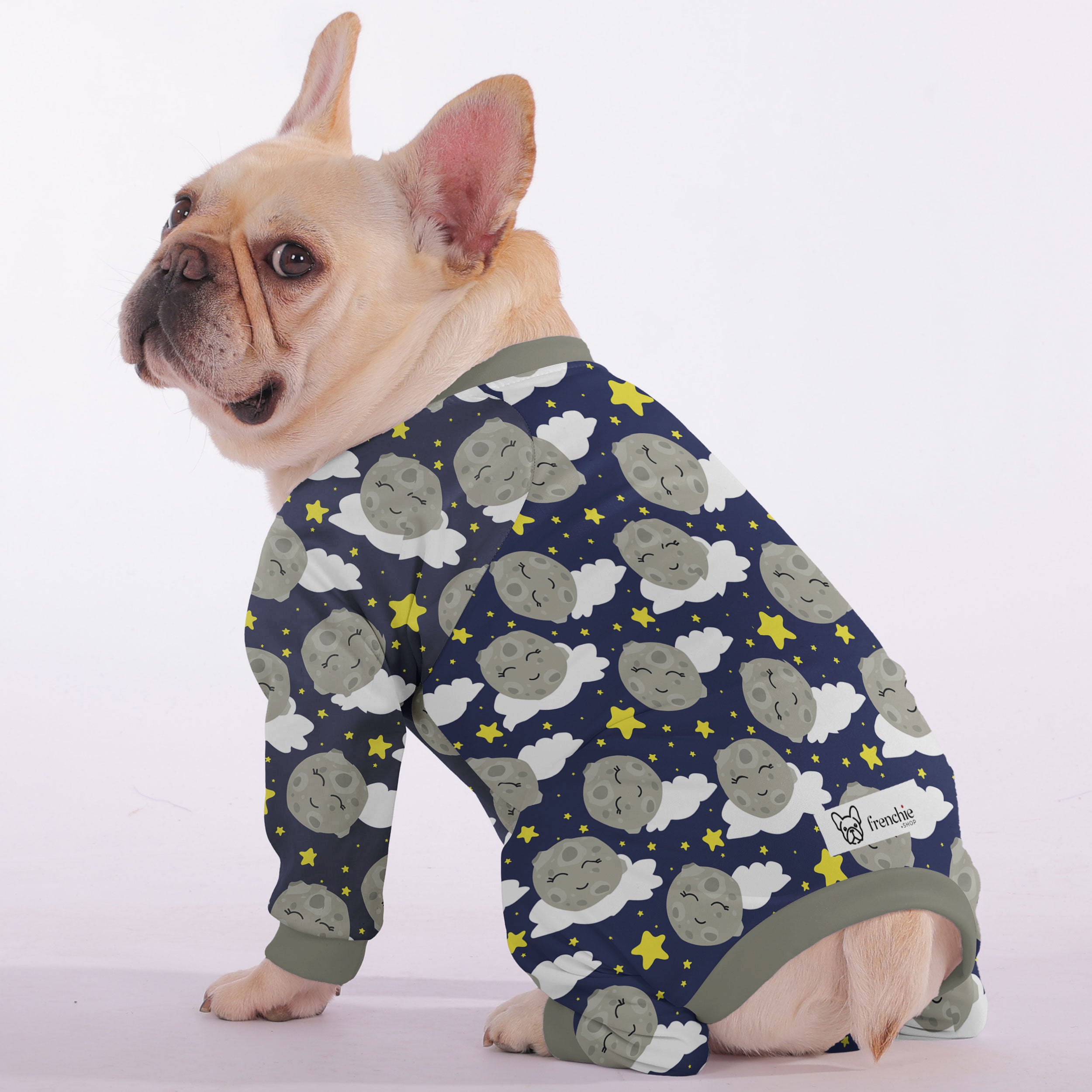 Trendy Lifestyle-Driven Finn - Frenchie Pajama for French Bulldog Lovers