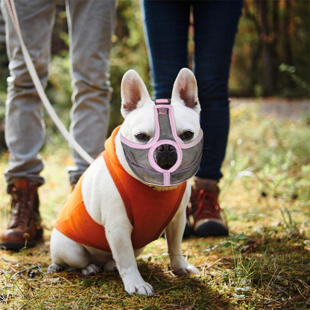 Fashion-Forward Revolutionary Frenchie Muzzle - Effective Anti-bite M...