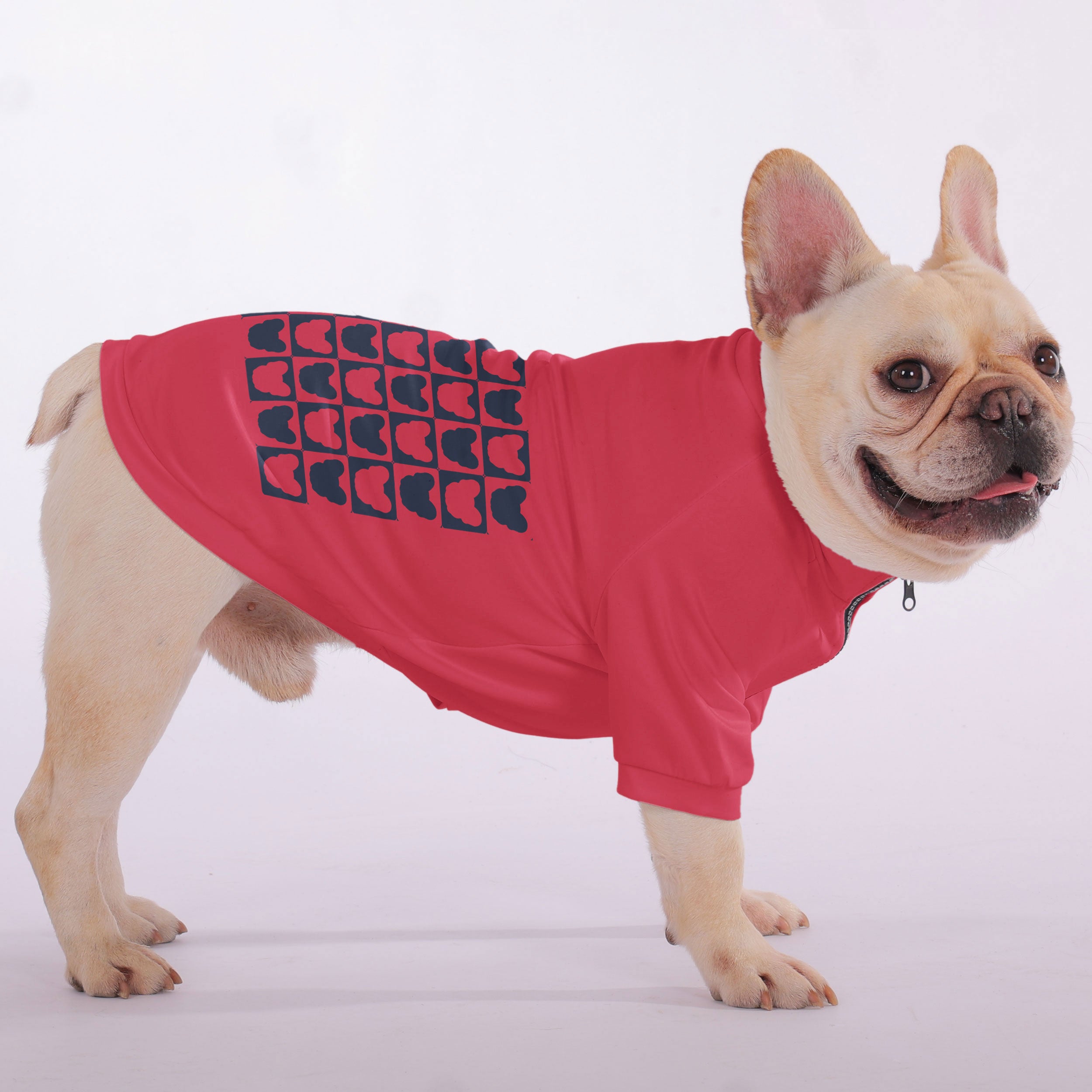 - Casual Snuggly Zip-up Sweatshirt For French Bulldogs For Frenchie Fans
