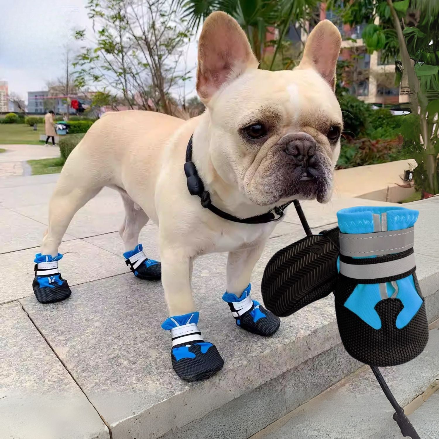 Minimal-Aesthetic Pawluxe French Bulldog Waterproof Shoes – Soft-sole...