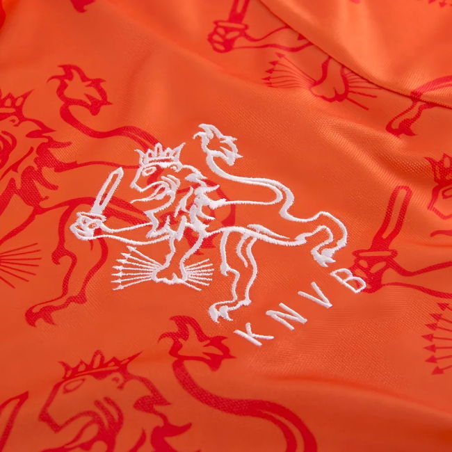 Holland World Cup 1994 Retro Football Shirt (Van Basten 9)