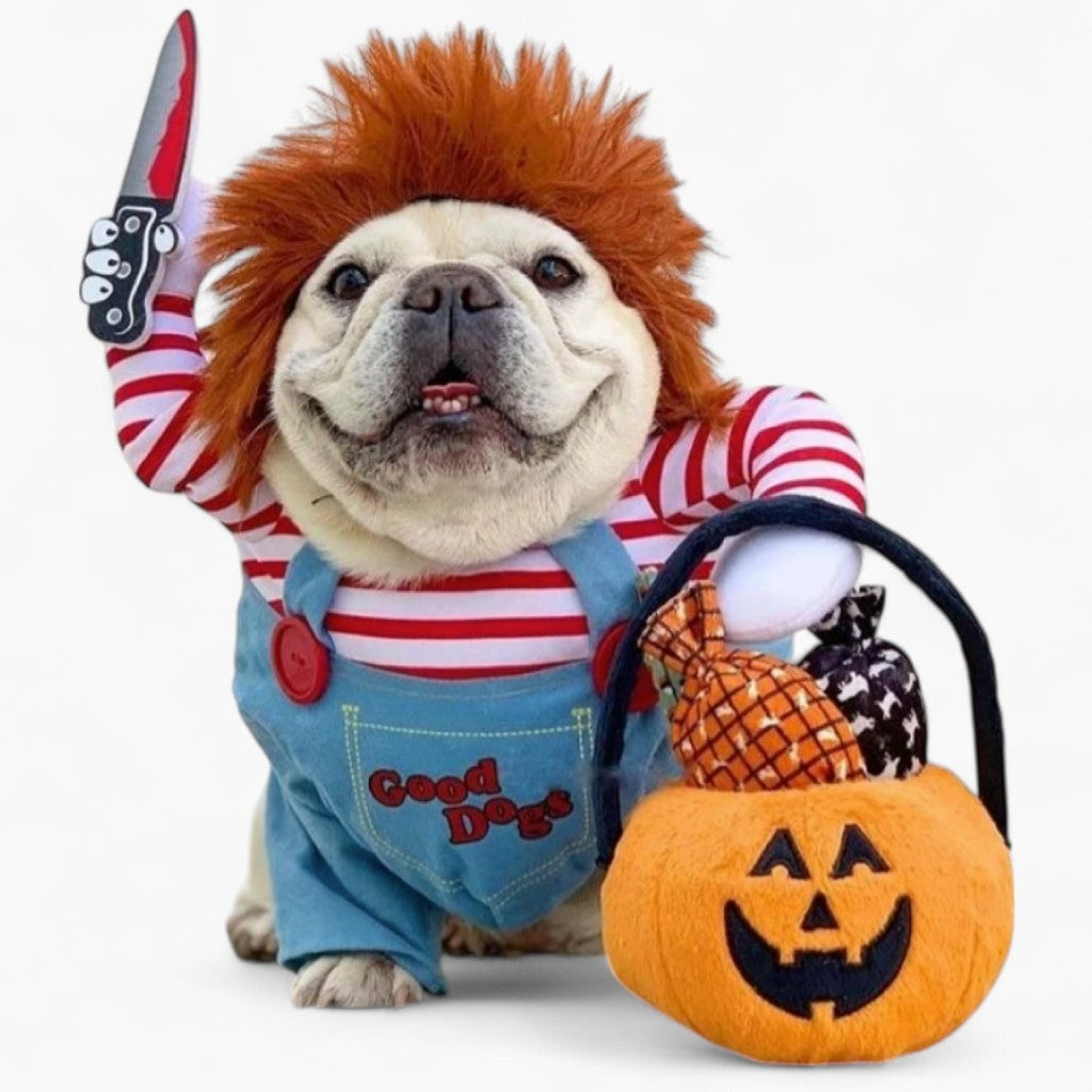 Bulldog Costume For French Bulldog (ws44) Outdoor Use | Vet-recommended