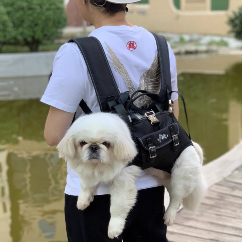 French Bulldog Carrypaw™ Side Carry Dog Backpack – Carrier For Small