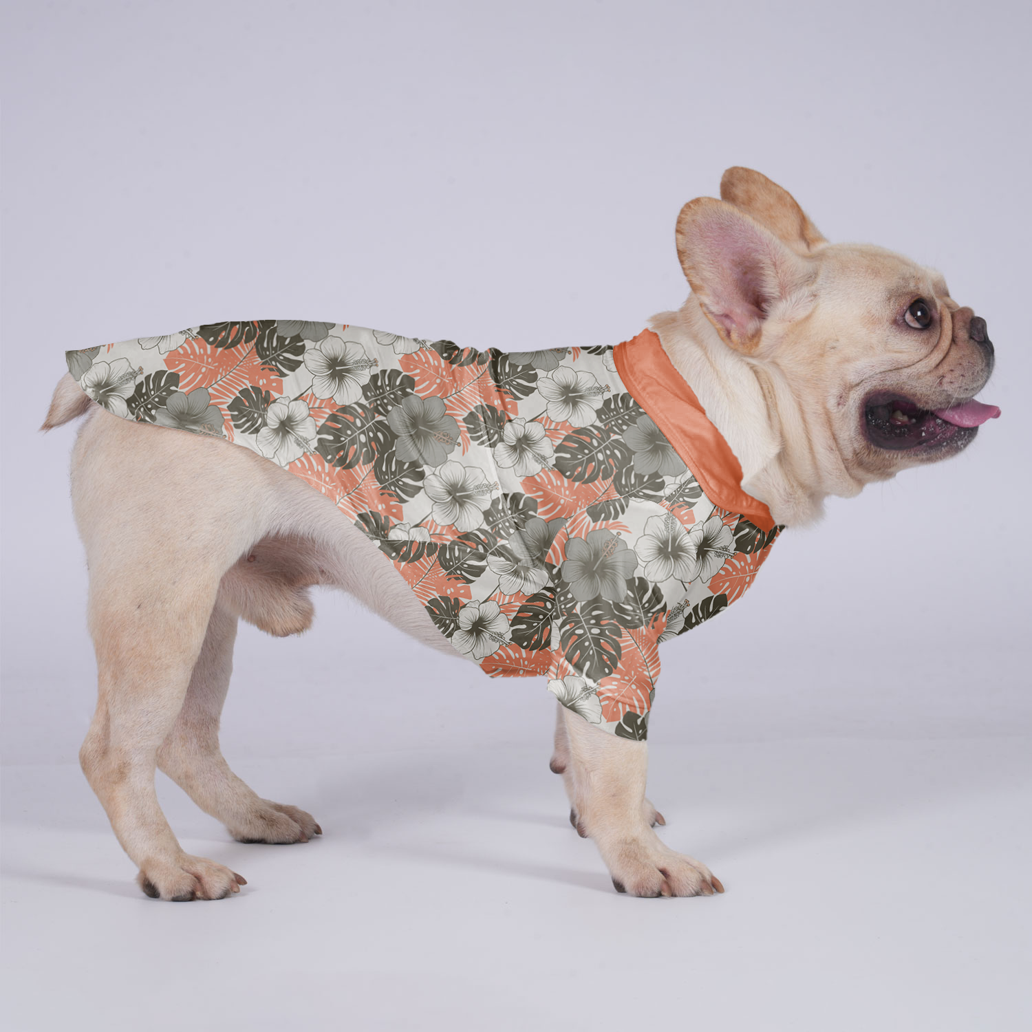 Premium Everyday Millie - Hawaiian Shirt For Frenchies for Daily Life