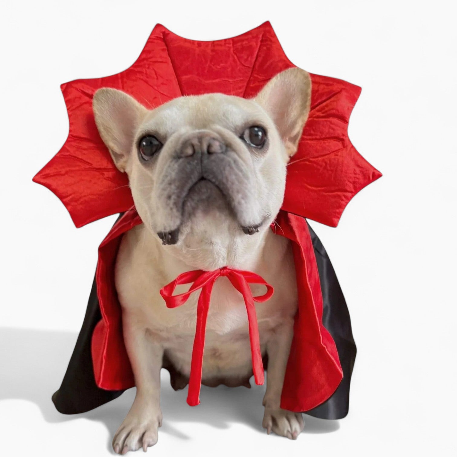 Cloak Costume – Halloween Red Black Satin Cloak For Frenchie Pups