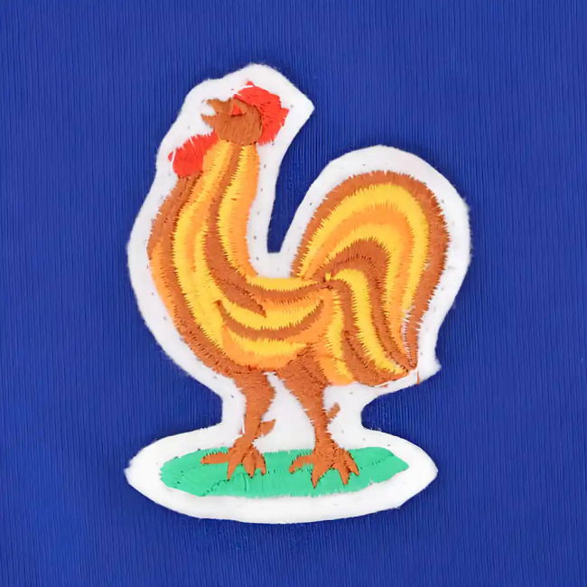France Pro Home Professional Jersey 2025-2026 (1)