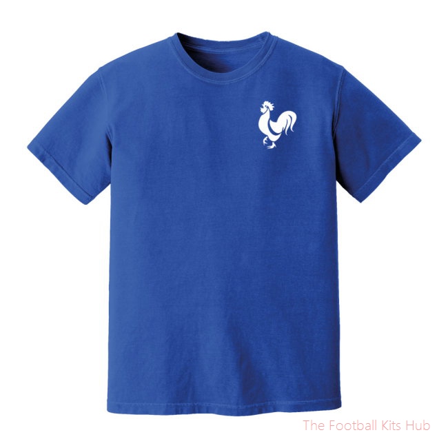 France National Team Embroidered Tee (Blue)