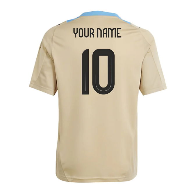 2024-2025 Special Argentina Jersey