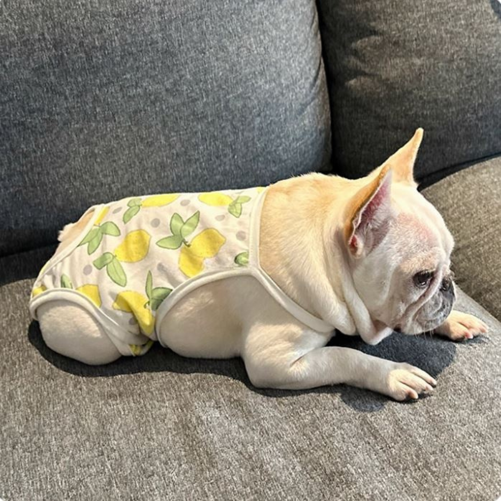 French Bulldog Lover Easypaw Frenchie Menstrual Pants – Leak Proof Heat
