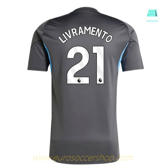 2025-2026 Newcastle Training Shirt (Grey) (Livramento 21)