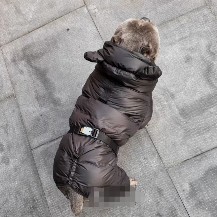 Winter Polyester Jumpsuit – Warm Four-legged Dog Outfit Winter Wear