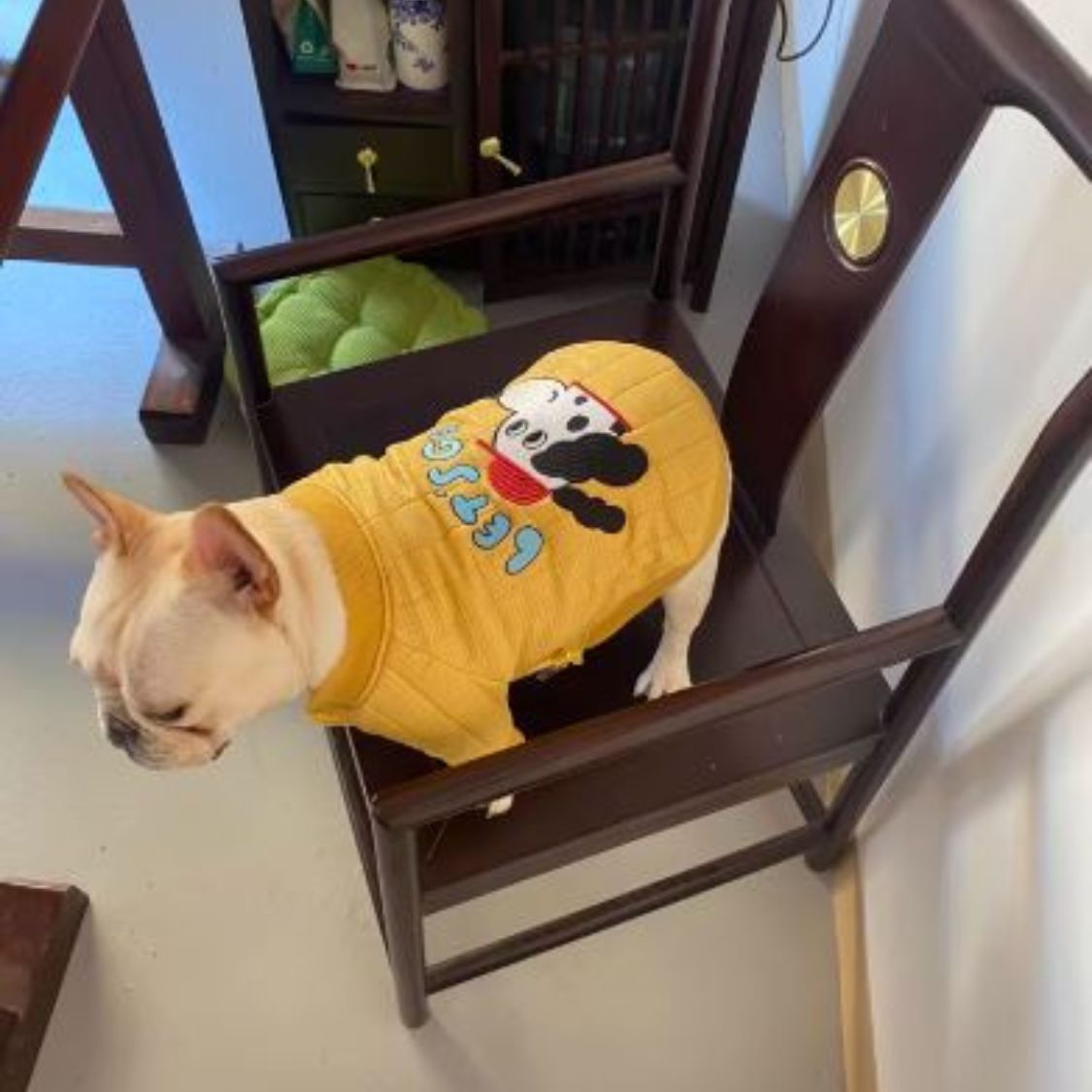 French Bulldog Quilted Cotton Frenchie Jacket Warm And Stylish Winter