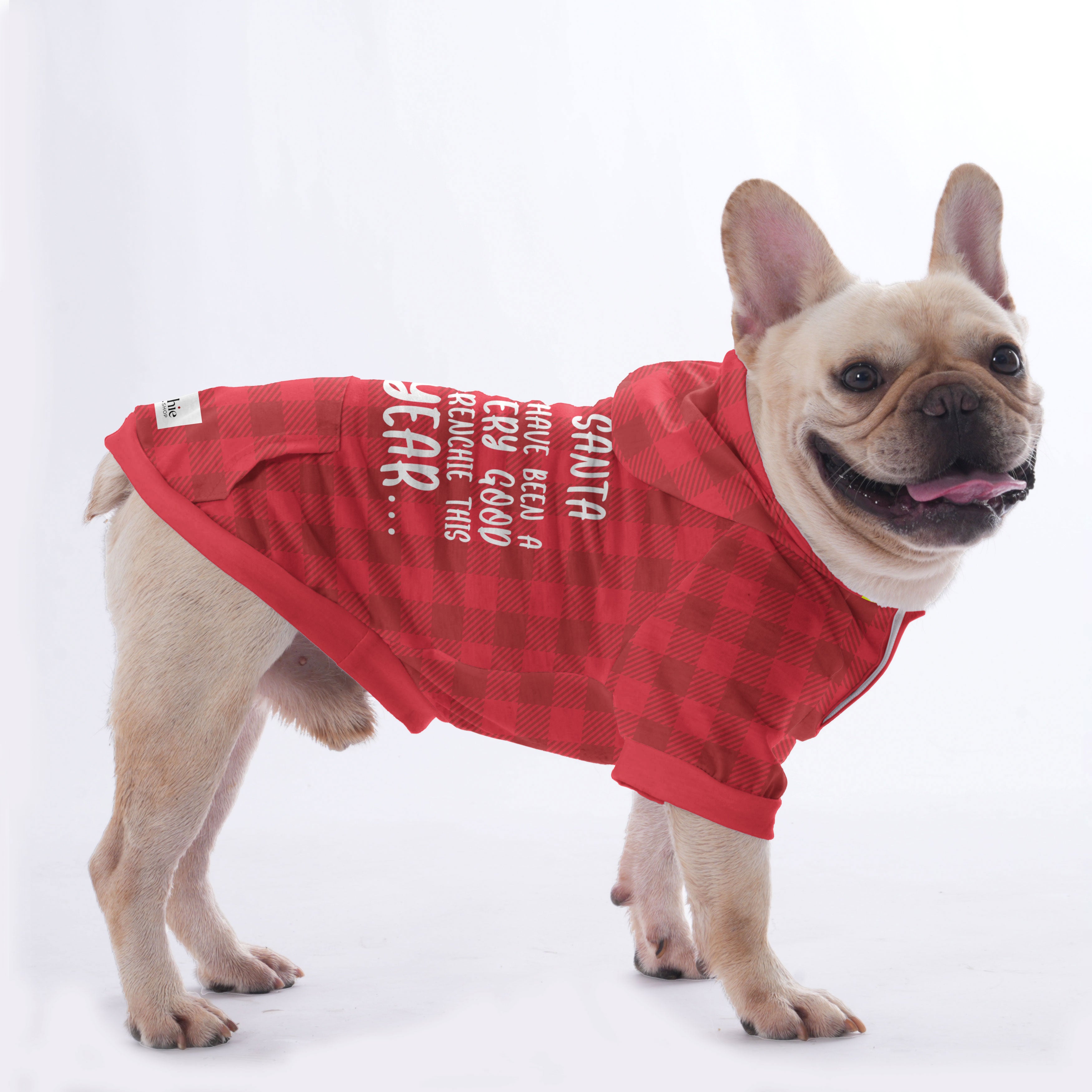 Winston - Hoodies for French Bulldog | Frenchie Shop Original