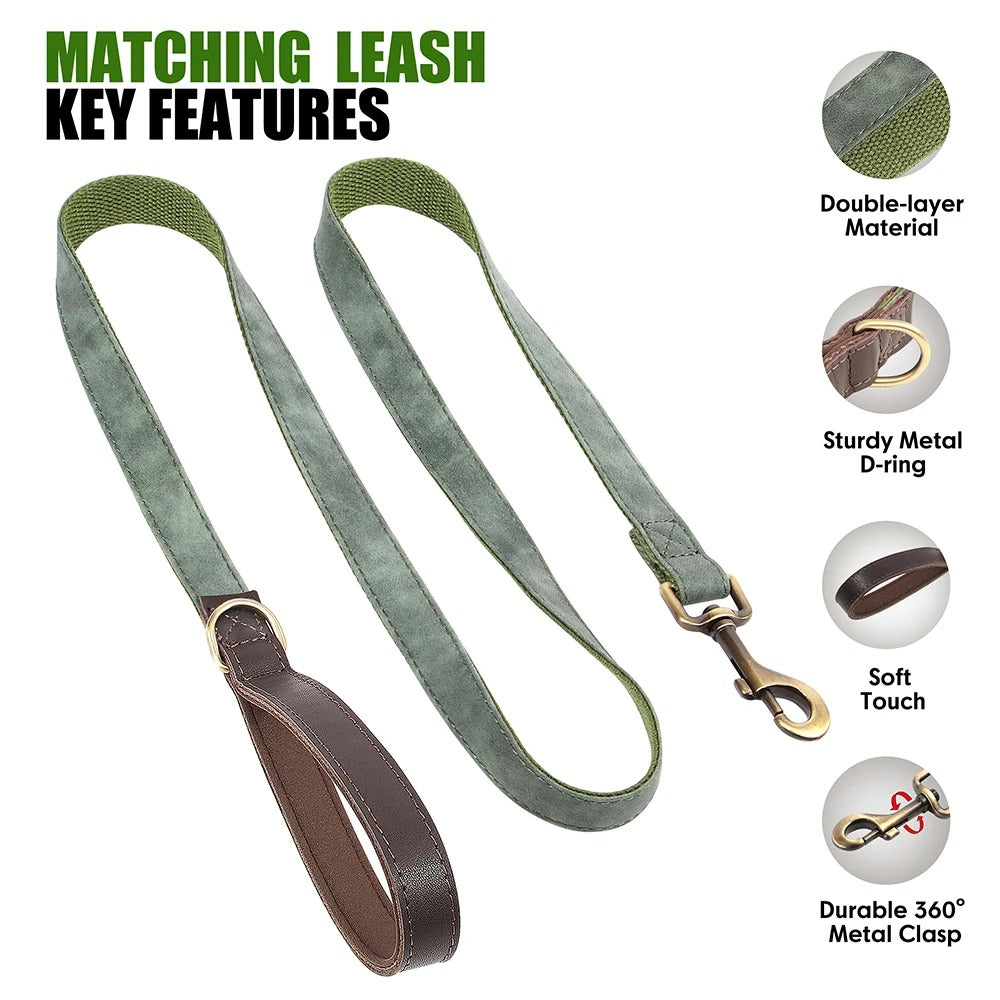 Vet-Approved French Bulldog Leather Collar With Leash – Personalized ...