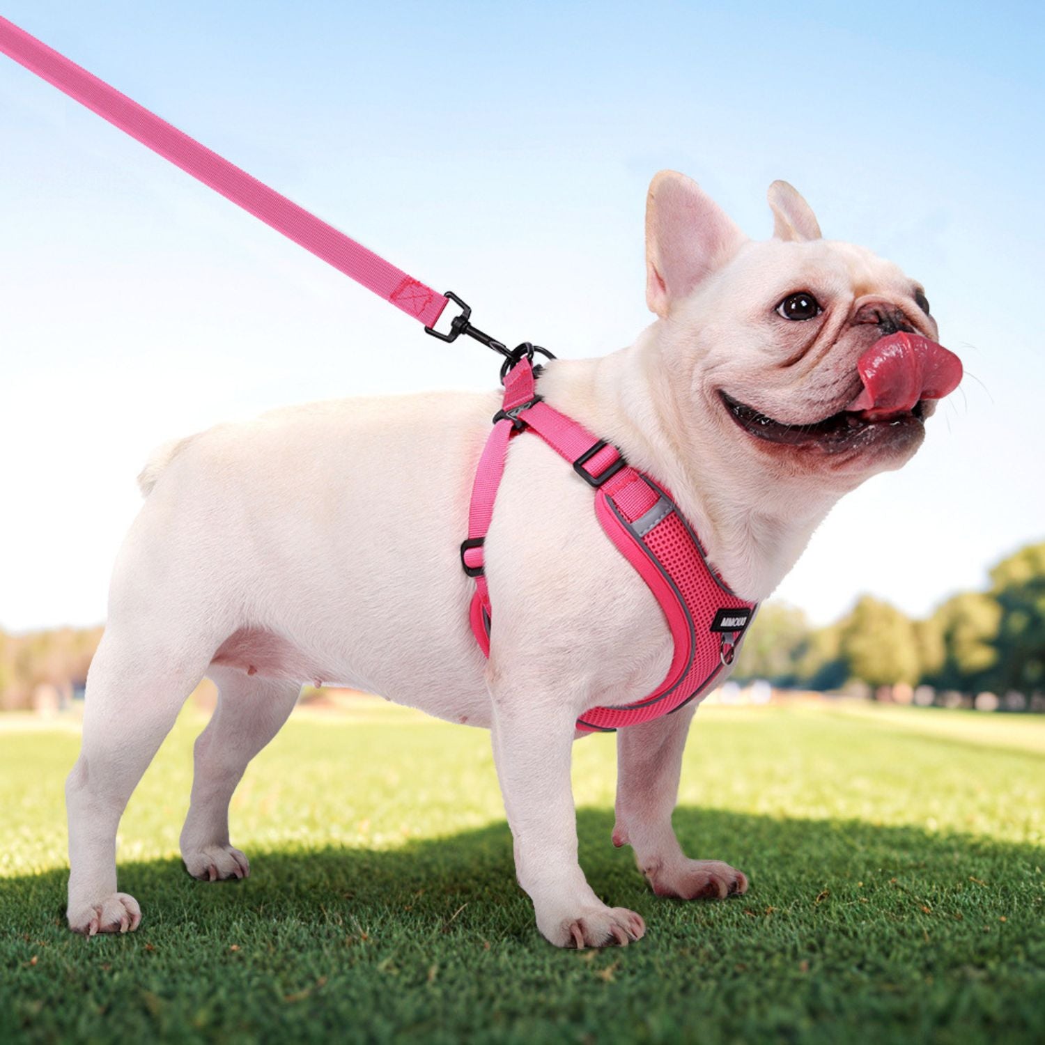 Pawtify No Pull Frenchie Harness Explosion-Proof Vest