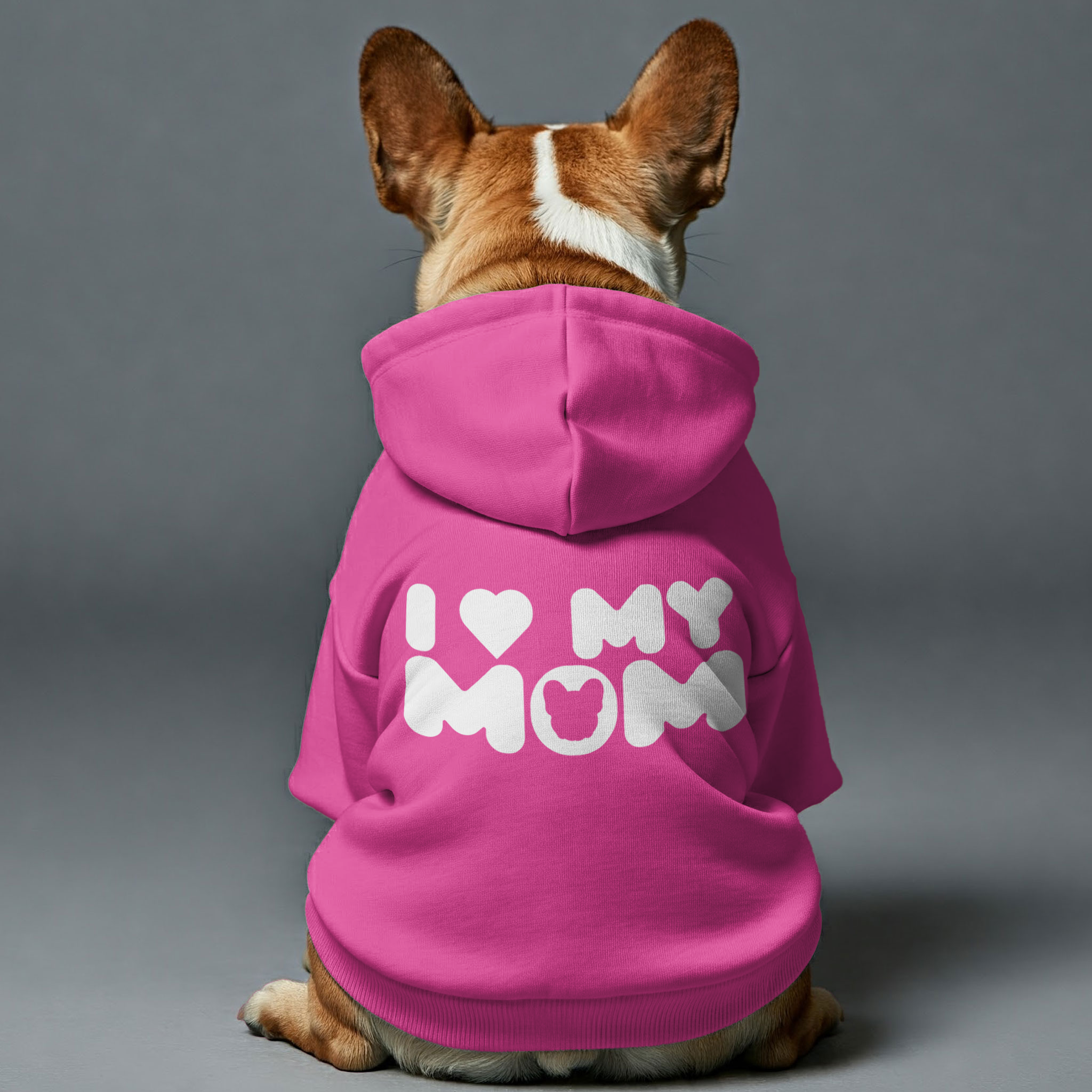 Street-Ready Frenchie Mom - Personalized French Bulldog Hoodies With ...