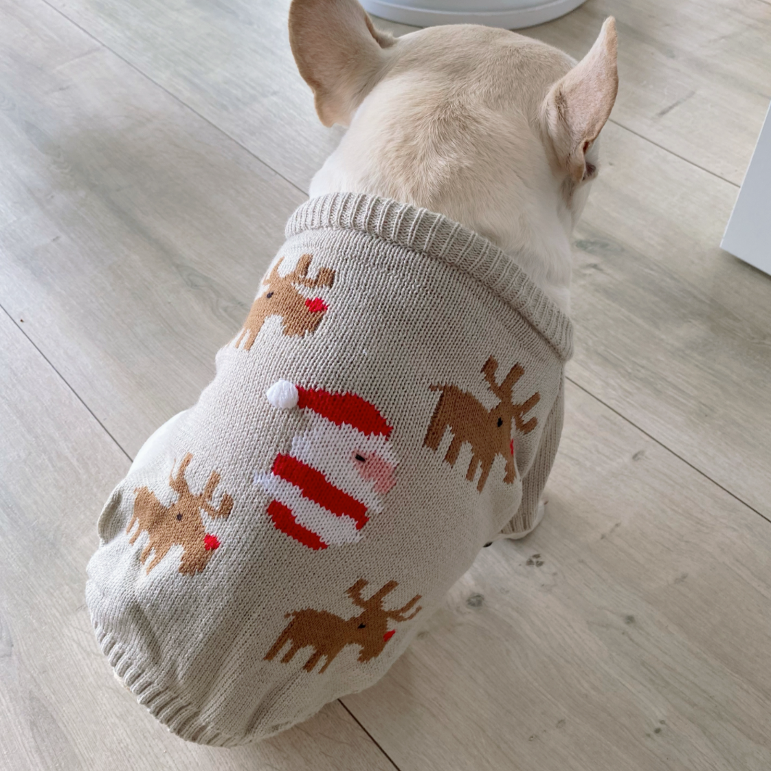 French Bulldog Trendy Christmas Print Warm Sweater For French Bulldog Warm Dog Outfit