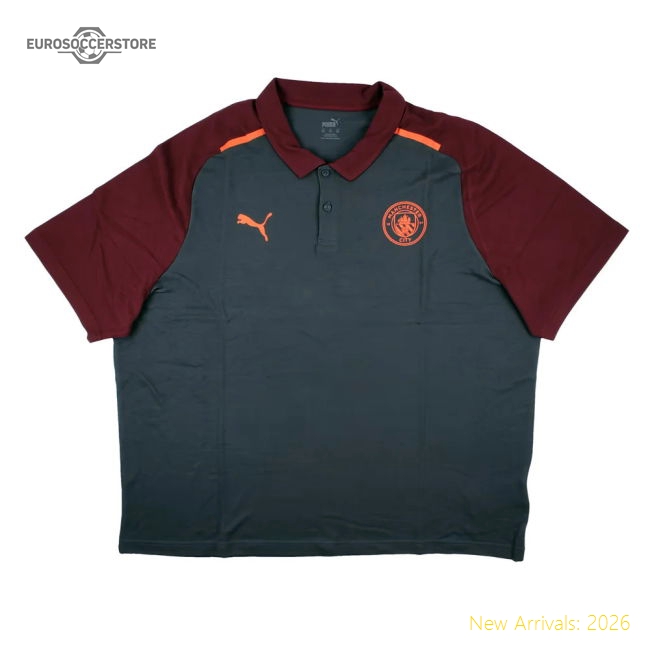 Official 2023-2024 Man City Casuals Polo Shirt (grey) - Premium