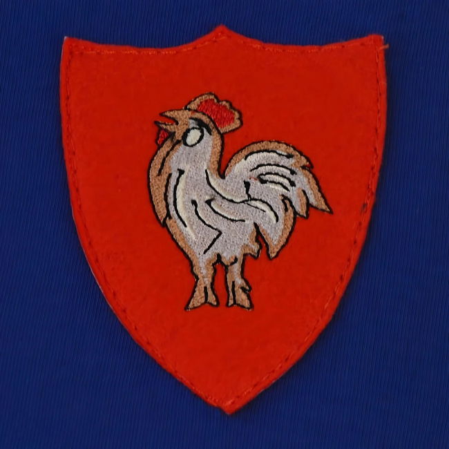 Collector's France Home Rare Jersey 2025-2026