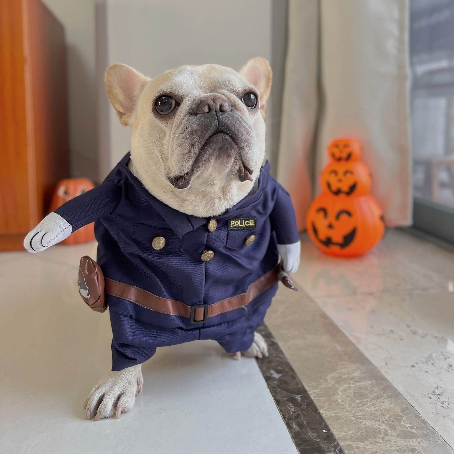 CopaPup Frenchie Dagger Police Costume – Funny Knife-Holding Halloween Outfit