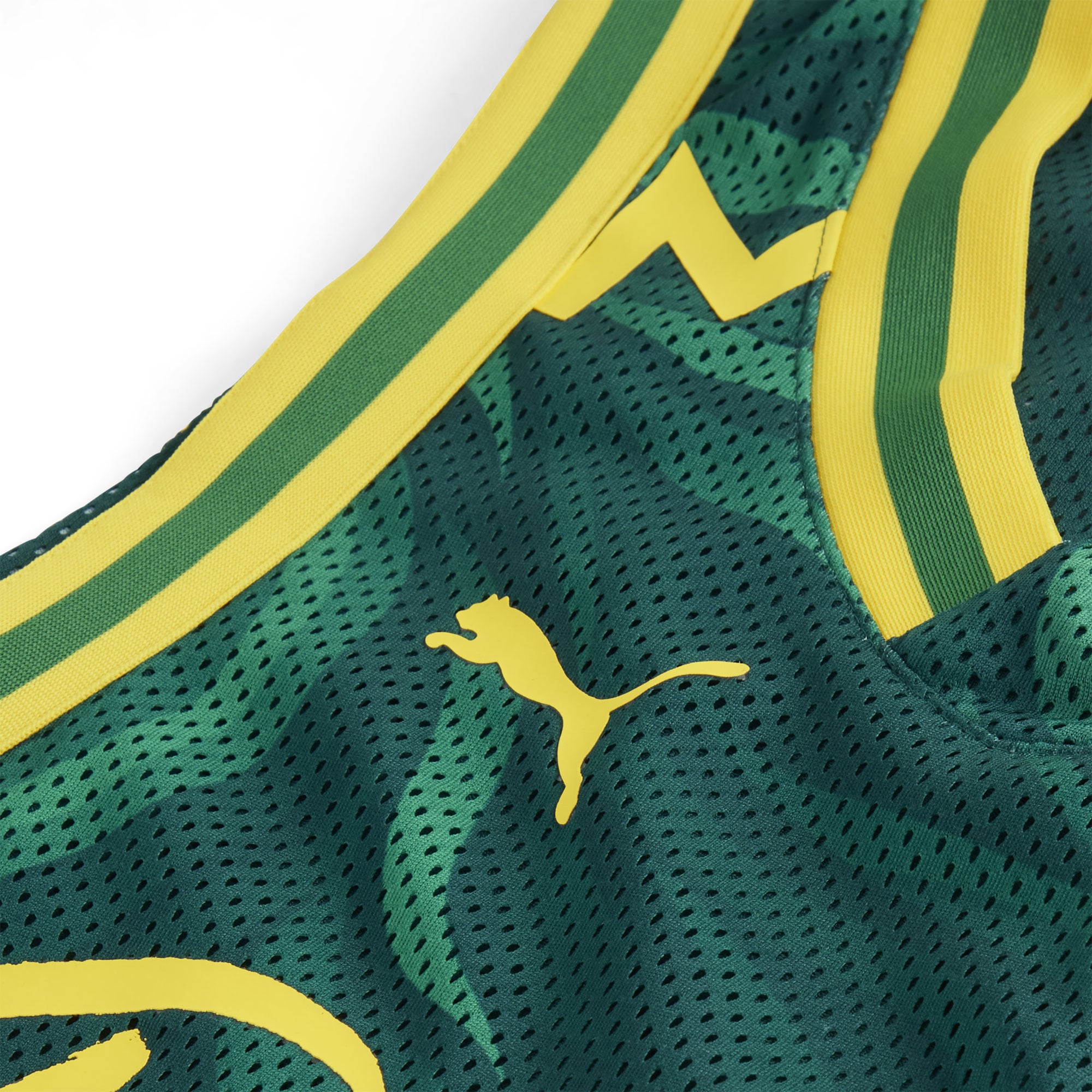 [SJH] SE Palmeiras 2025 FIFA Club World Cup dryCELL Basketball Jersey - Green