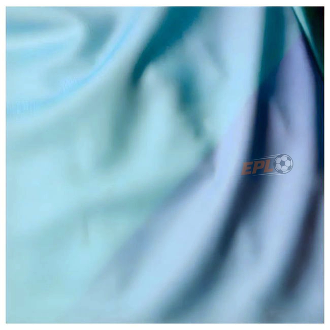 2024-20 Arsenal excellent Third Shirt - Adults | superior