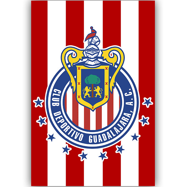 Chivas de Guadalajara Poster 2025-2026 UCL Home Jersey – Authentic Shirt