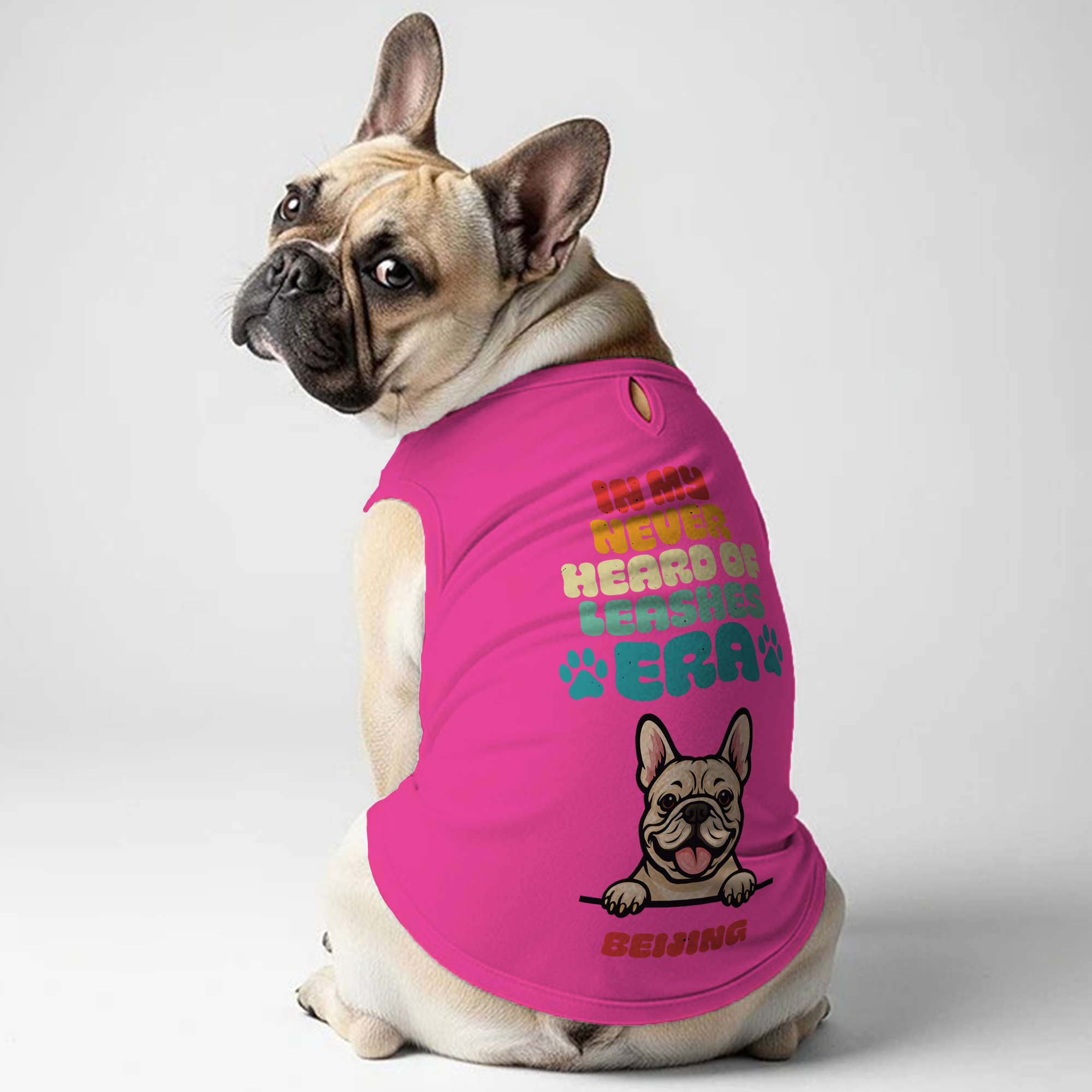 Street-Ready Leashes Era - Personalized Frenchie Shirt | Custom Dog T...