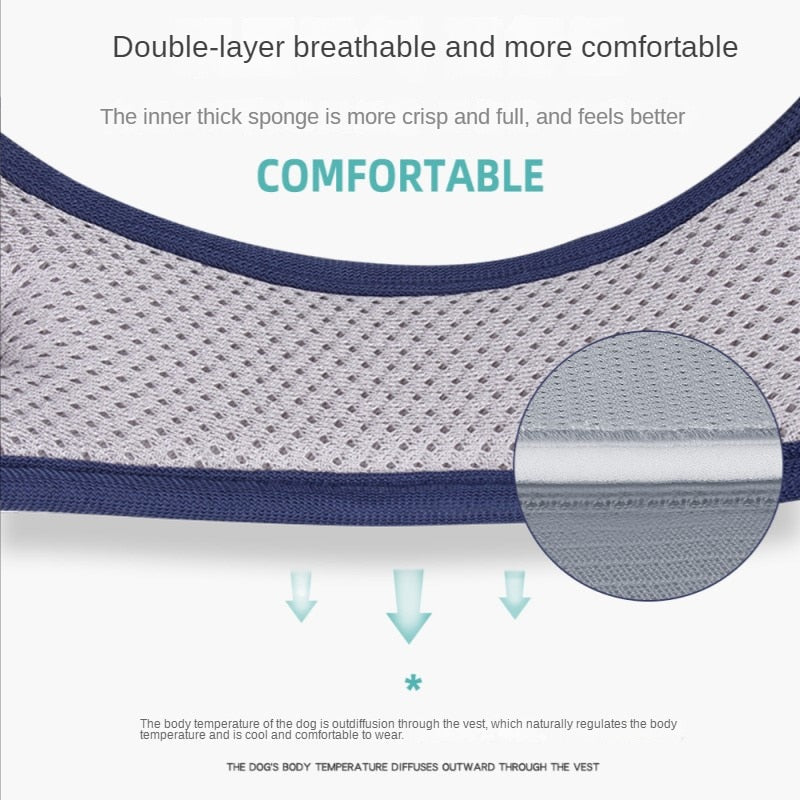 Frenchiekit™ - Adjustable Frenchie Harness Leash Set