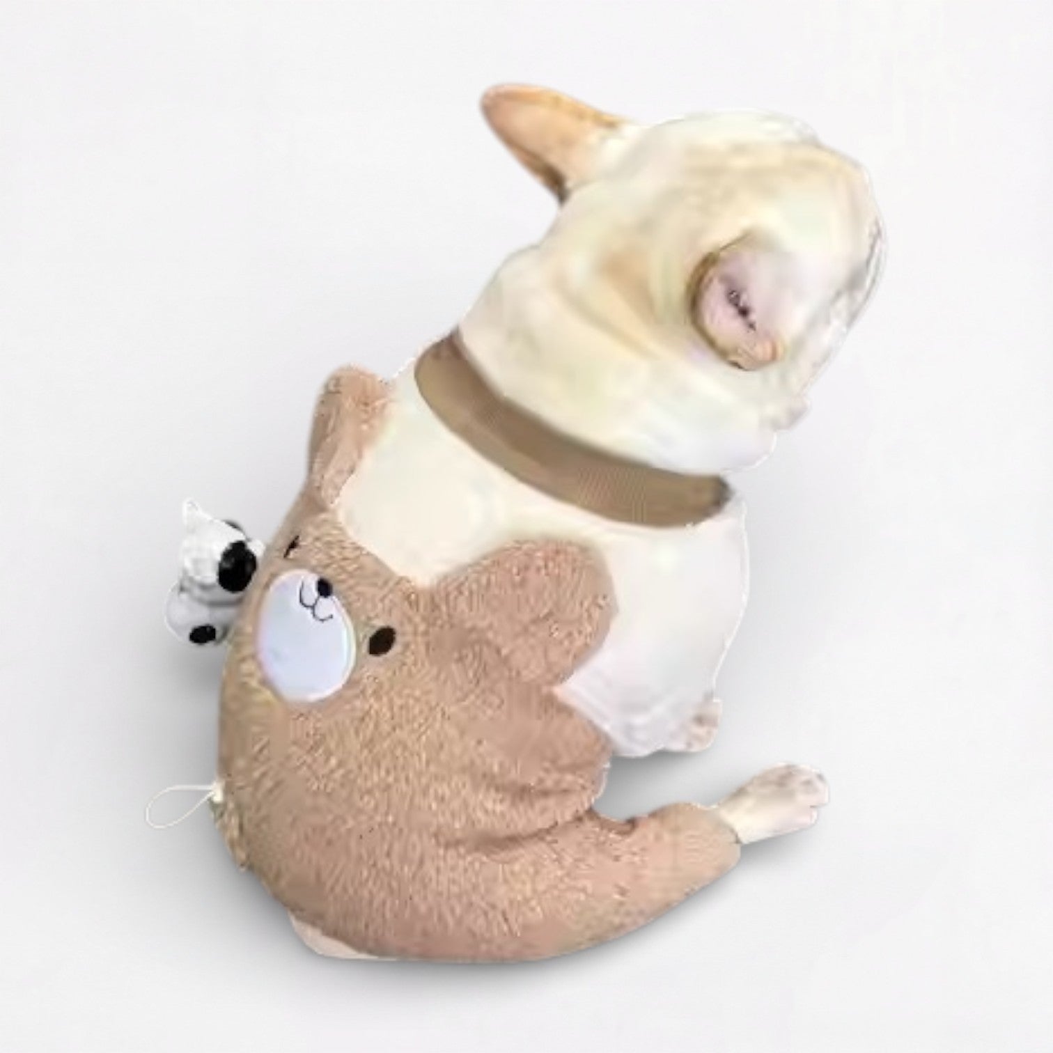 French Bulldog Bearly French Bulldog Coat – Plush Cotton Padded Coat