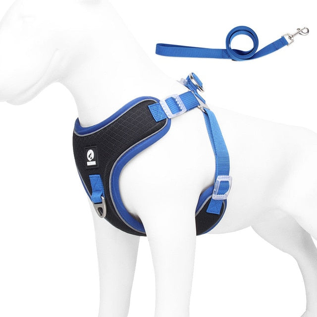 Daily-Walk Frenchiekit™ - Adjustable Frenchie Harness Leash Set for P...
