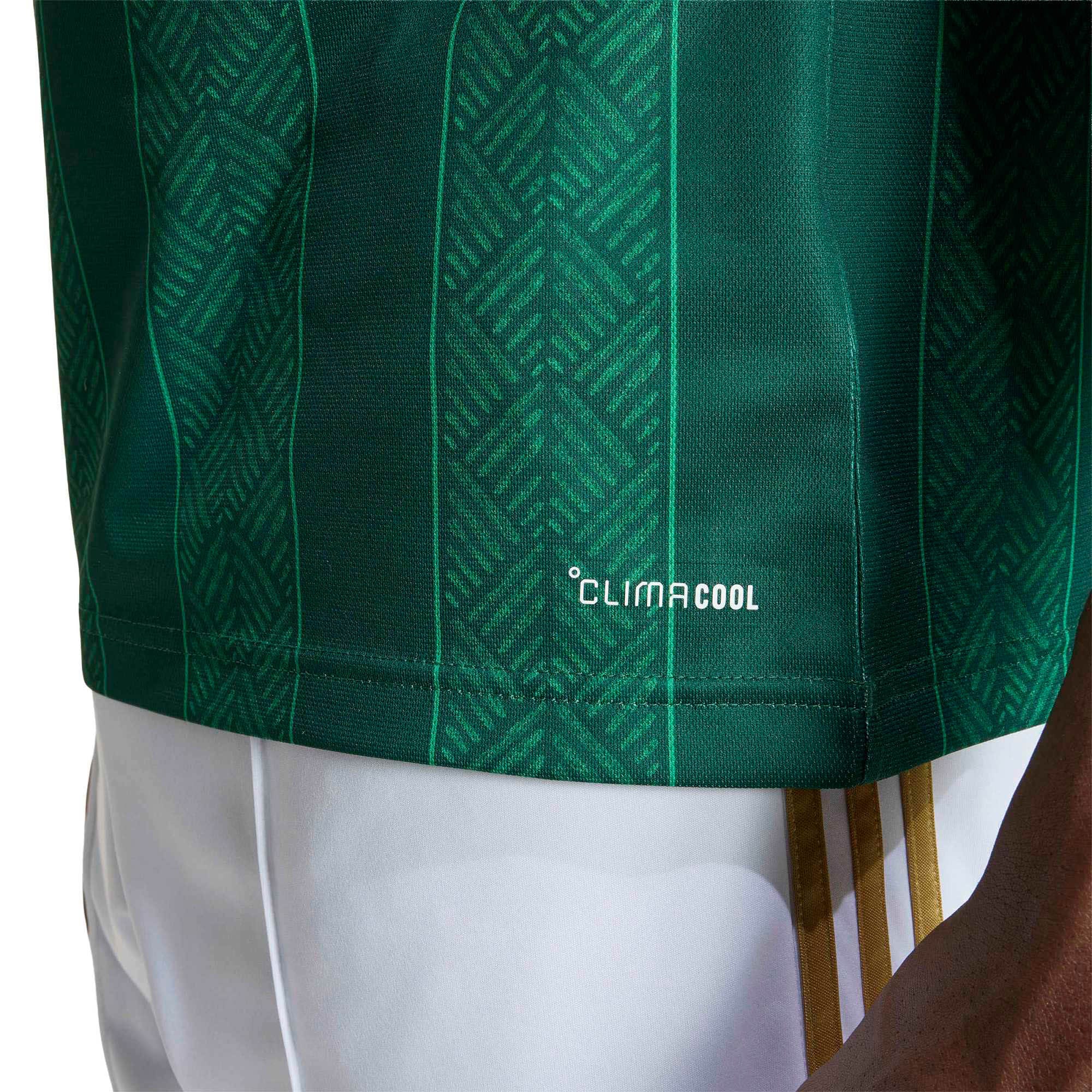 [SJH] South Africa National Team 2026 Away Replica Jersey - Green