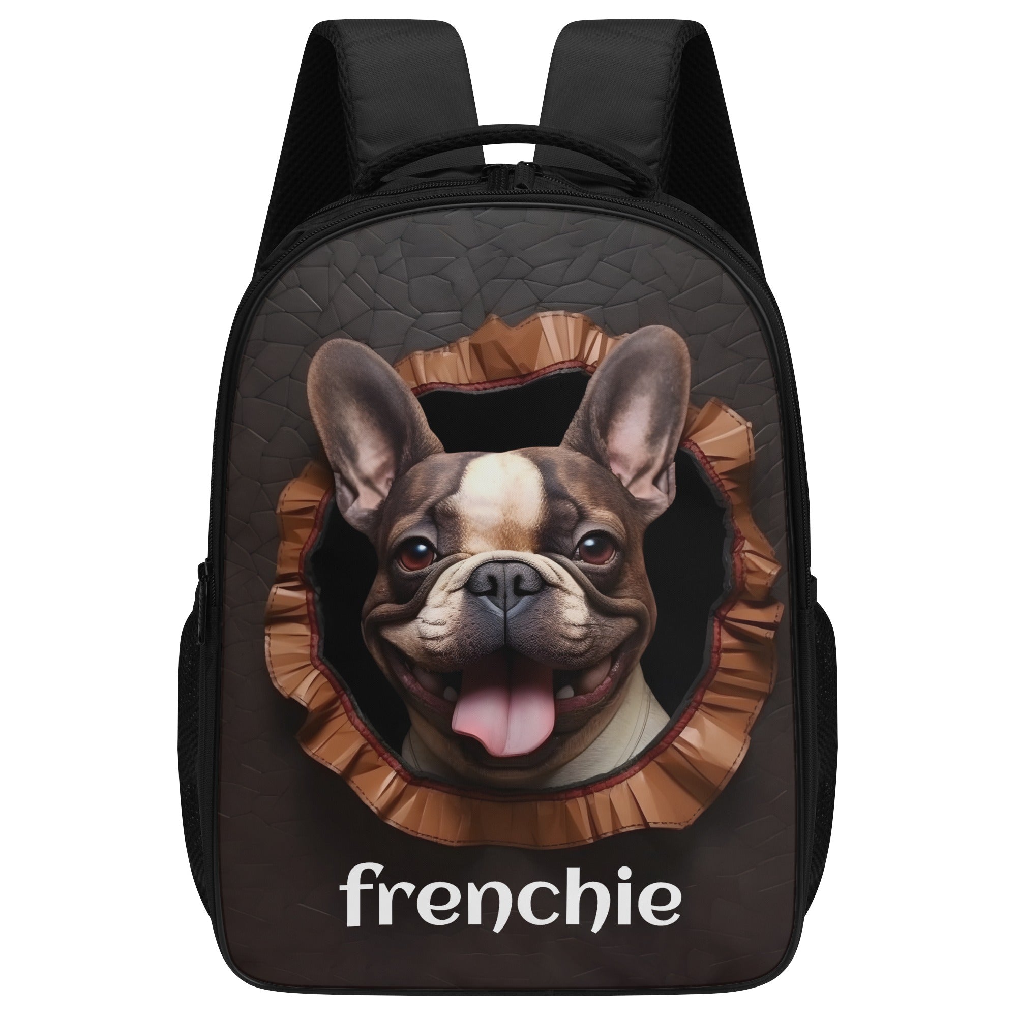 Comfortable Luxury Style - 16 Inch Dual Compartmen Backpack for Daily