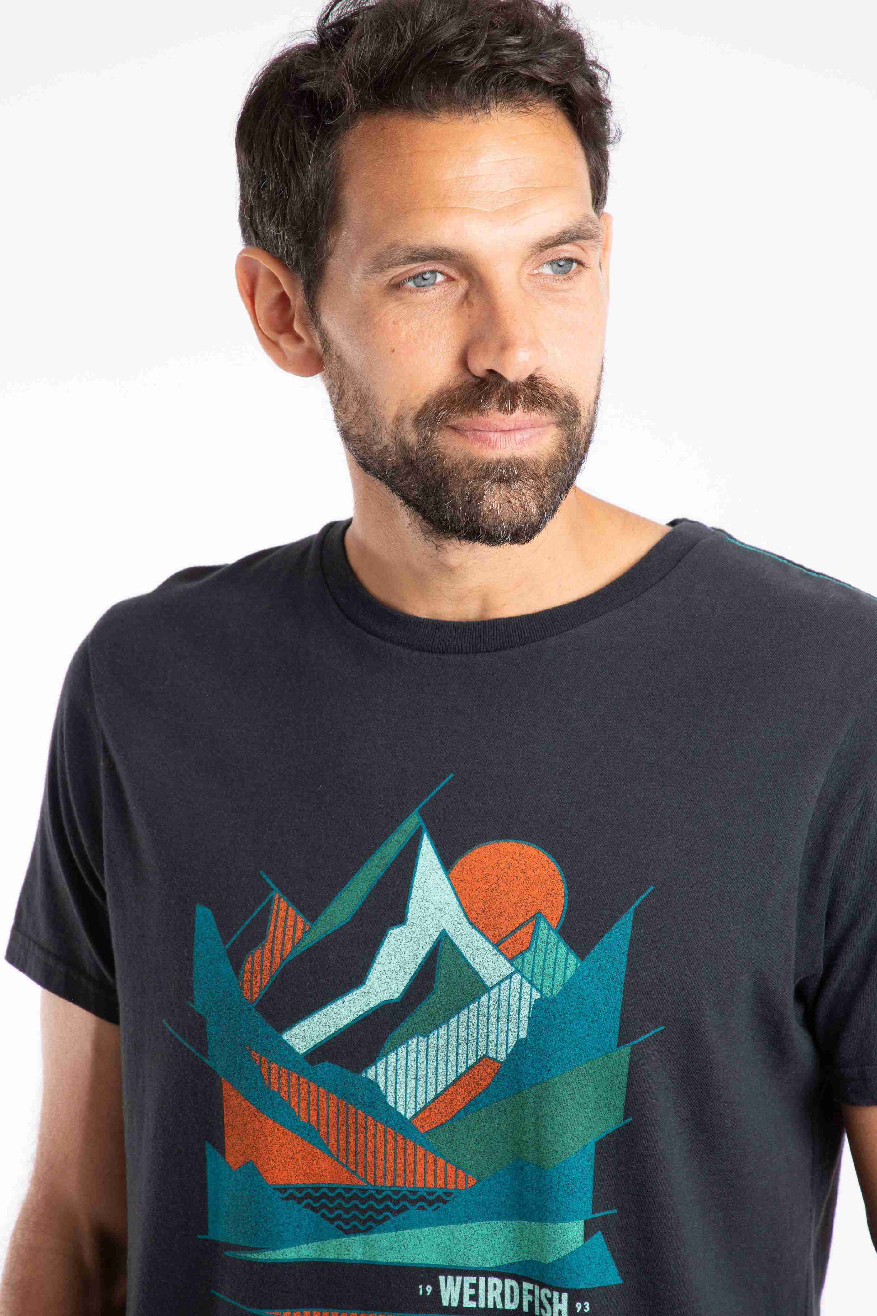 Aspect Mountains Front Print Graphic T-Shirt Black
