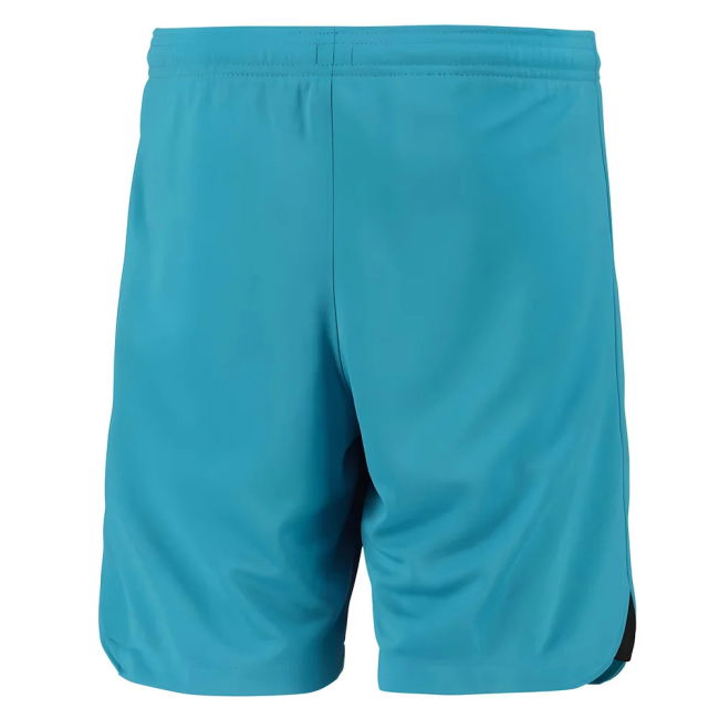 Tottenham official style Third Shorts 2022-2023 (Youth
