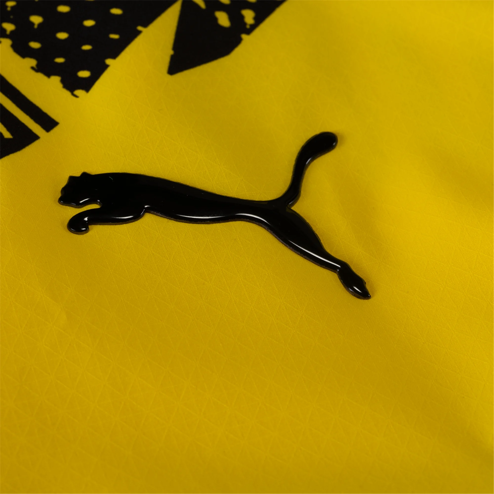 Borussia Dortmund Dortmund 2025-2026 UCL Home Jersey – Authentic Shirt
