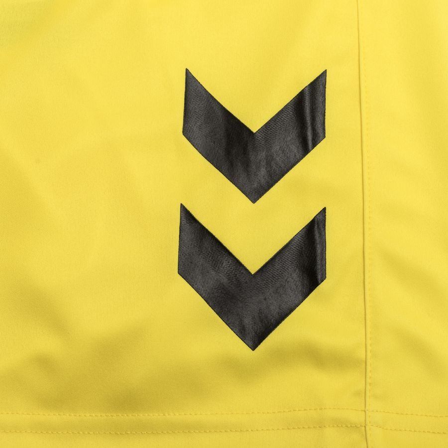 Denmark Goalkeeper Shorts 2023/24 In Multiple Adult Sizes