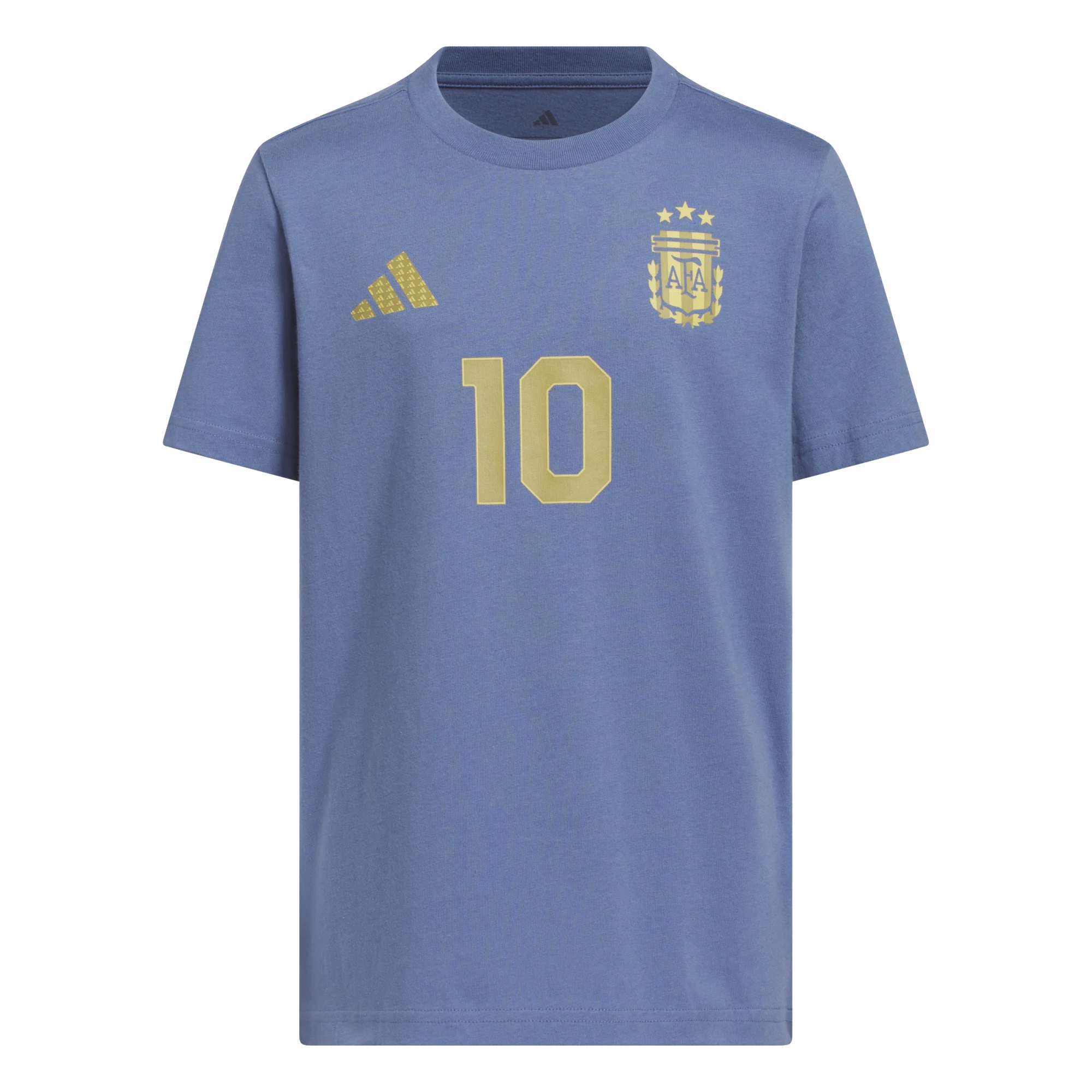 Argentina National Team 2024-2025 Season Third Shirt –  Edition XS