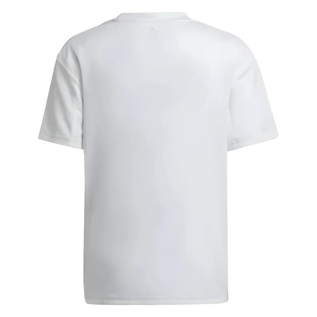 Official 2022-2023 Lyon Home With Special Edition Design - Captain