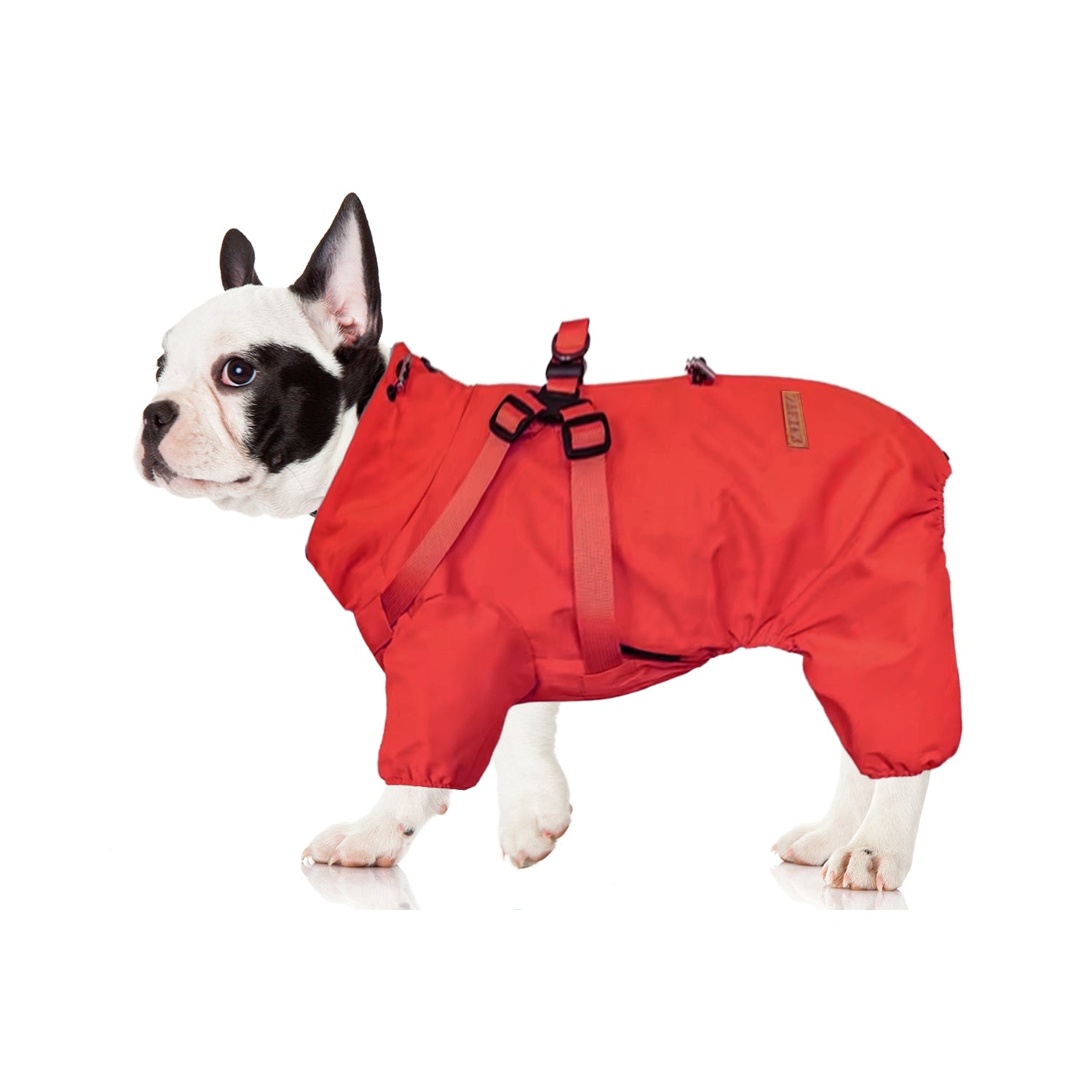 Harness Waterproof Reflective All-in-one Dog Jacket For Frenchie Pups