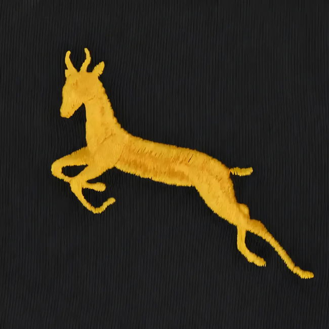 Elite South Africa 1950S Retro Football Shirt Championship