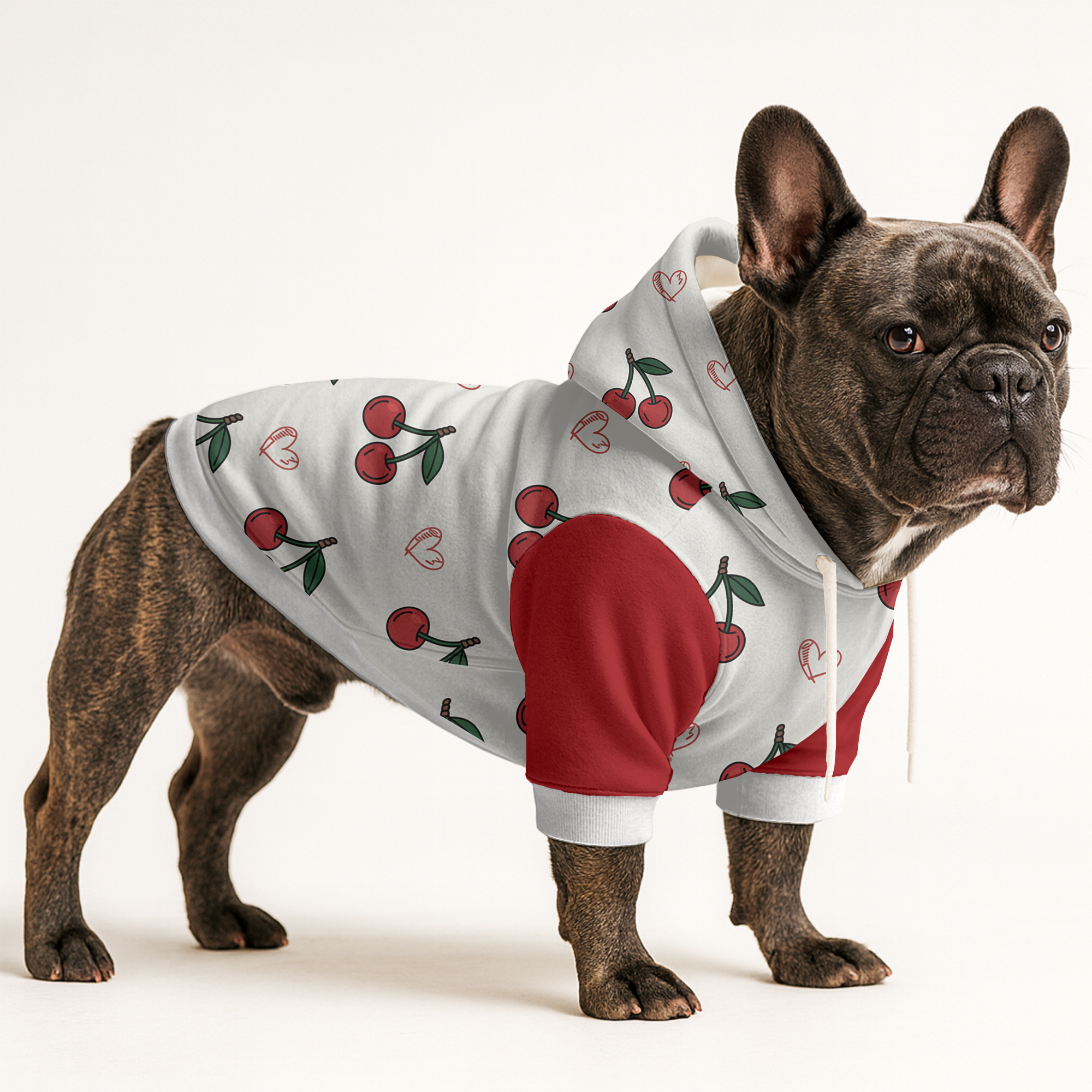 Queen - Frenchie hoodie