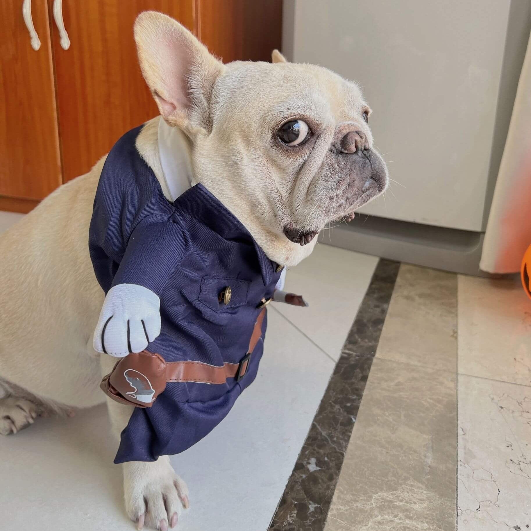 CopaPup Frenchie Dagger Police Costume – Funny Knife-Holding Halloween Outfit